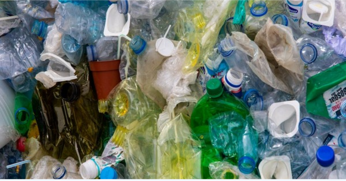 Delhi govt to organise 3-day mega fair to promote alternatives of single-use plastic